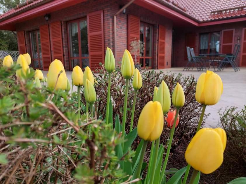 Port Jeziorak Bed & Breakfast Iława Dış mekan fotoğraf